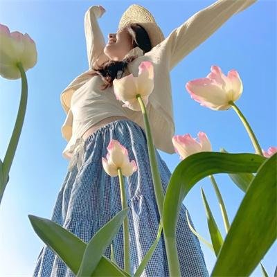 真心话太冒险